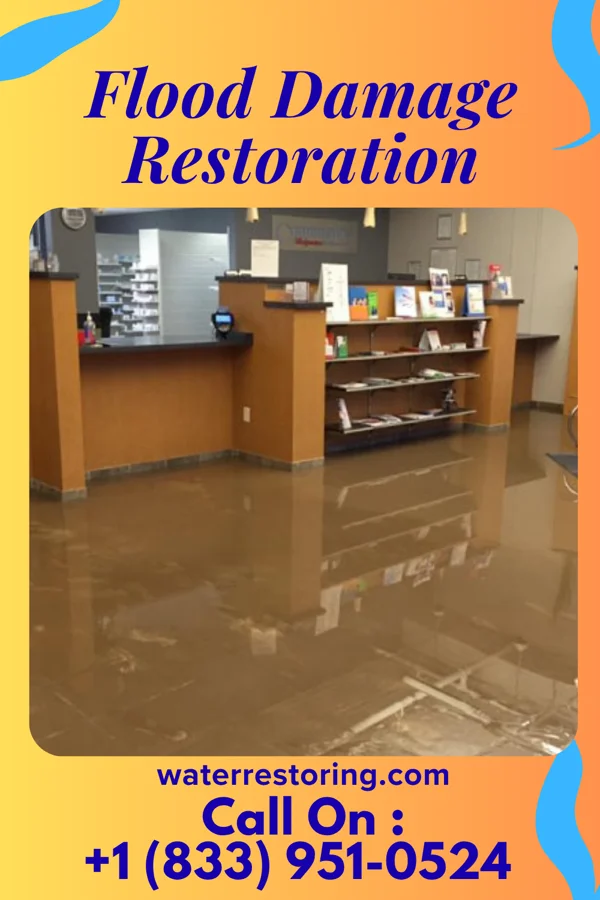 Flood Damage Restoration in Old Mill Creek, IL