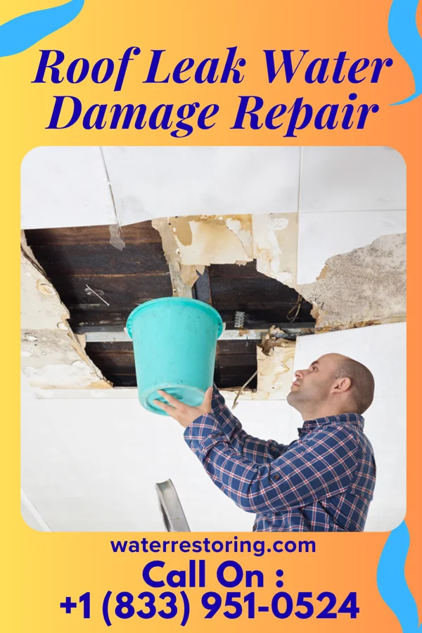 Roof Leak Water Damage Repair in Old Mill Creek, IL