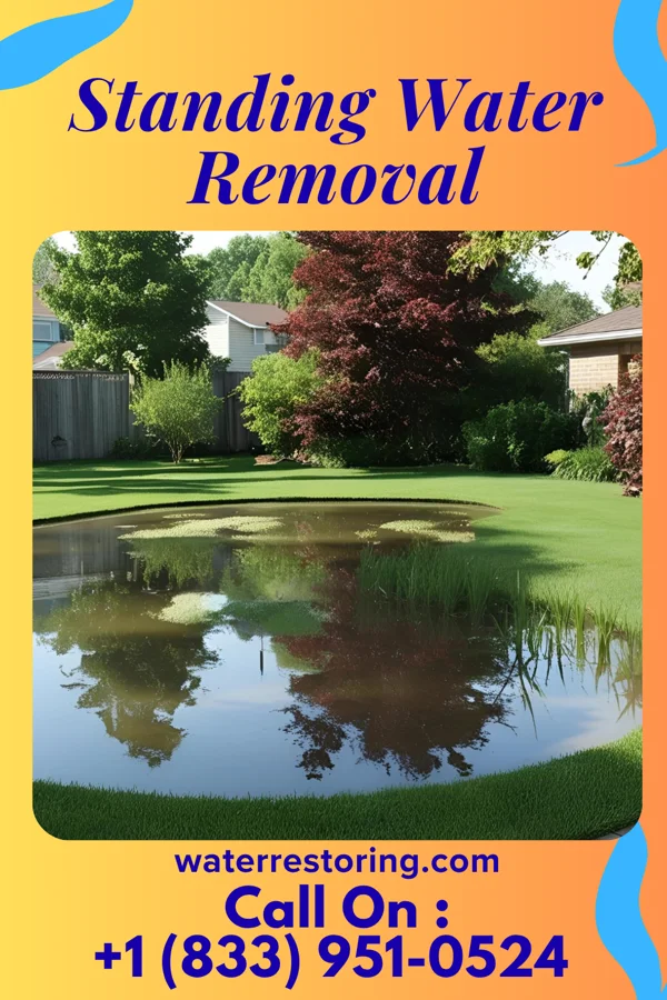 Standing Water Removal in Old Mill Creek, IL